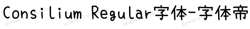 Consilium Regular字体字体转换